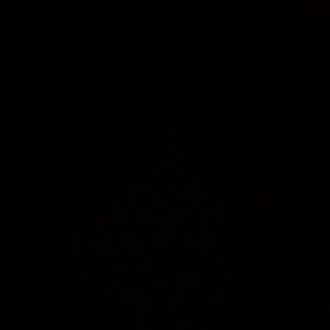 Meet your Posher, Paul